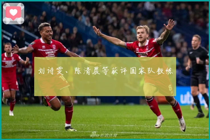 刘诗雯、陈清晨等获评国家队教练